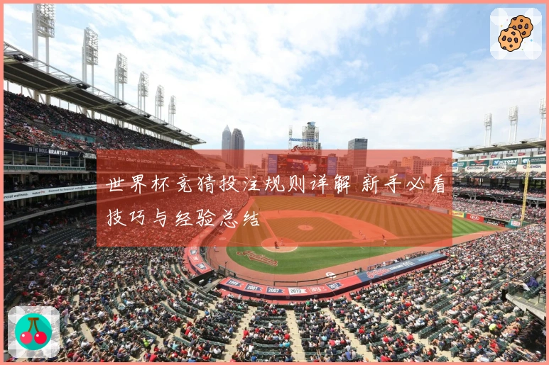 世界杯竞猜投注规则详解 新手必看技巧与经验总结
