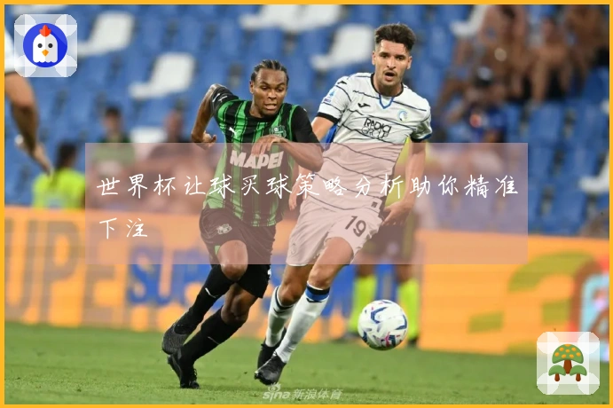 世界杯让球买球策略分析助你精准下注