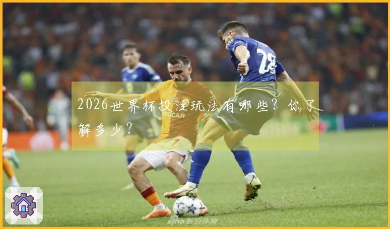 2026世界杯投注玩法有哪些？你了解多少？