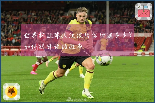 世界杯让球投注技巧你知道多少？如何提升你的胜率