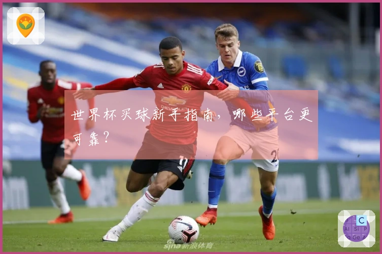 世界杯买球新手指南，哪些平台更可靠？