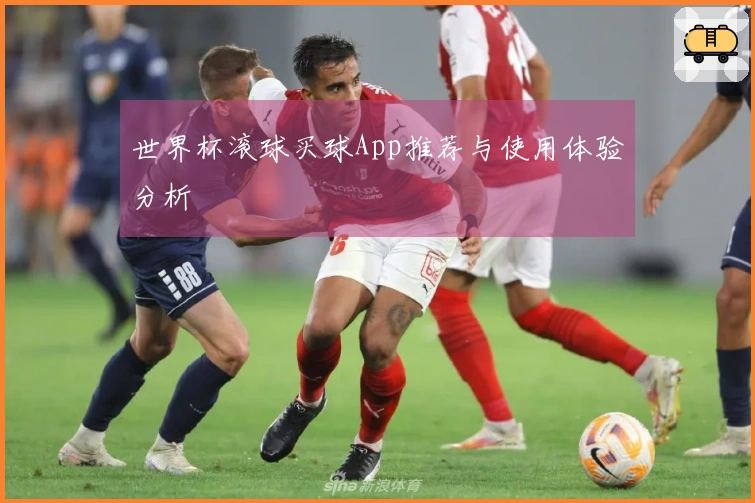 世界杯滚球买球App推荐与使用体验分析
