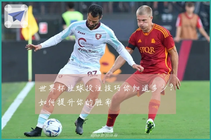 世界杯让球投注技巧你知道多少？如何提升你的胜率