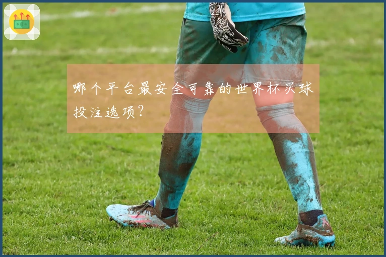 哪个平台最安全可靠的世界杯买球投注选项？