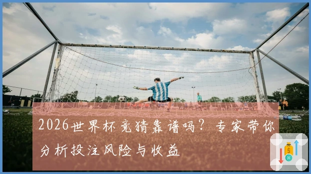 2026世界杯竞猜靠谱吗？专家带你分析投注风险与收益