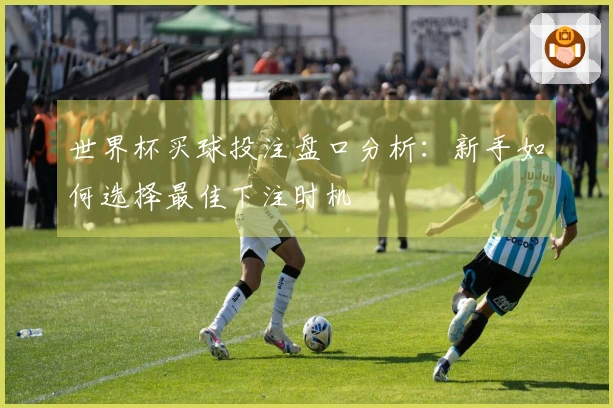 世界杯买球投注盘口分析：新手如何选择最佳下注时机