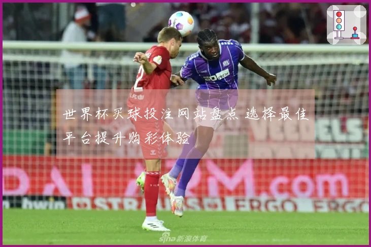 世界杯买球投注网站盘点 选择最佳平台提升购彩体验