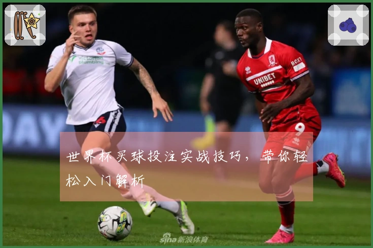 世界杯买球投注实战技巧，带你轻松入门解析