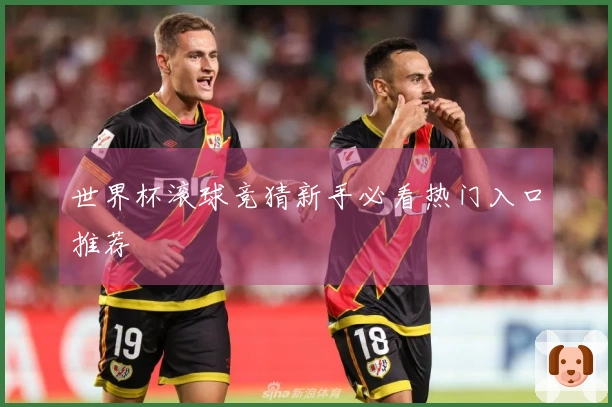 世界杯滚球竞猜新手必看热门入口推荐