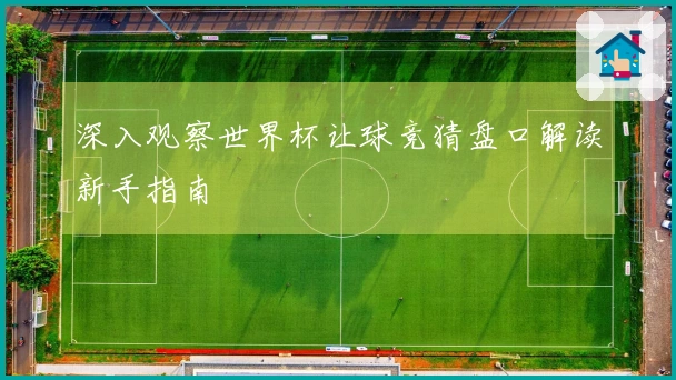 深入观察世界杯让球竞猜盘口解读新手指南