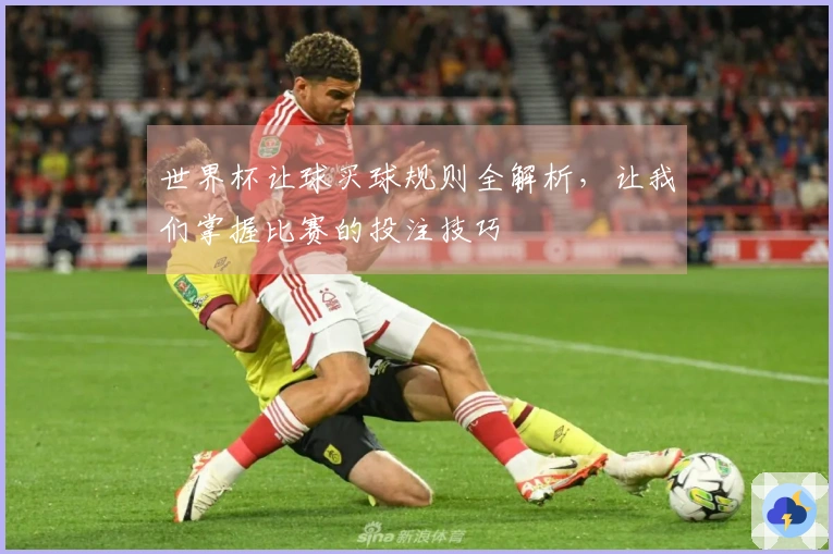 世界杯让球买球规则全解析，让我们掌握比赛的投注技巧