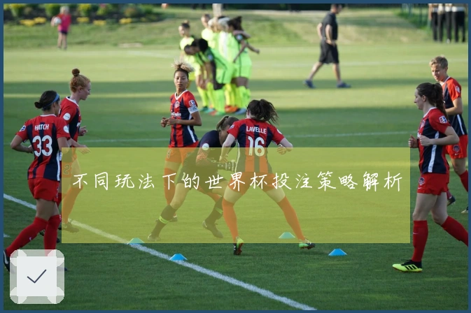 不同玩法下的世界杯投注策略解析