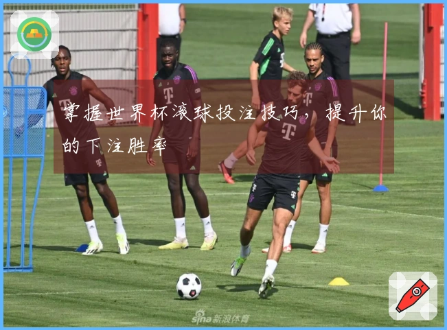 掌握世界杯滚球投注技巧，提升你的下注胜率