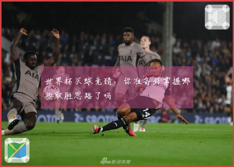 世界杯买球竞猜,你准备好掌握哪些取胜思路了吗
