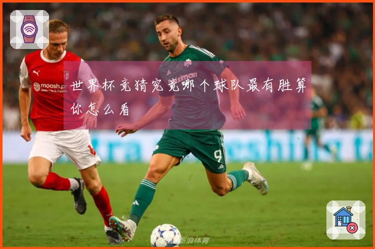 世界杯竞猜究竟哪个球队最有胜算你怎么看