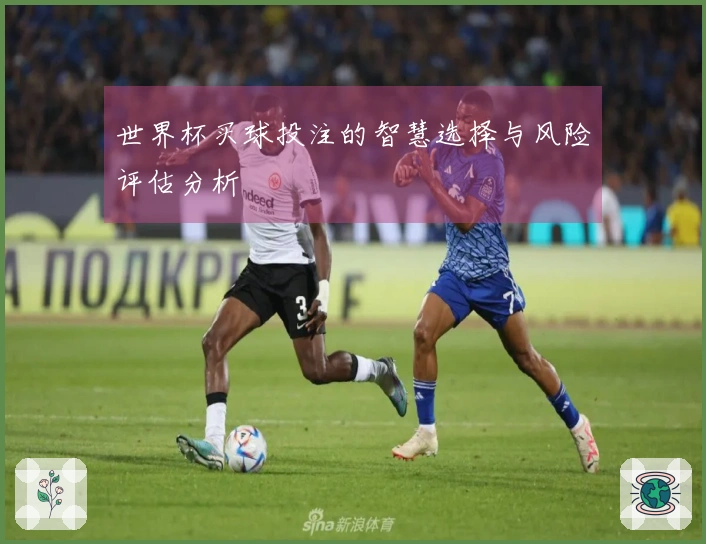 世界杯买球投注的智慧选择与风险评估分析