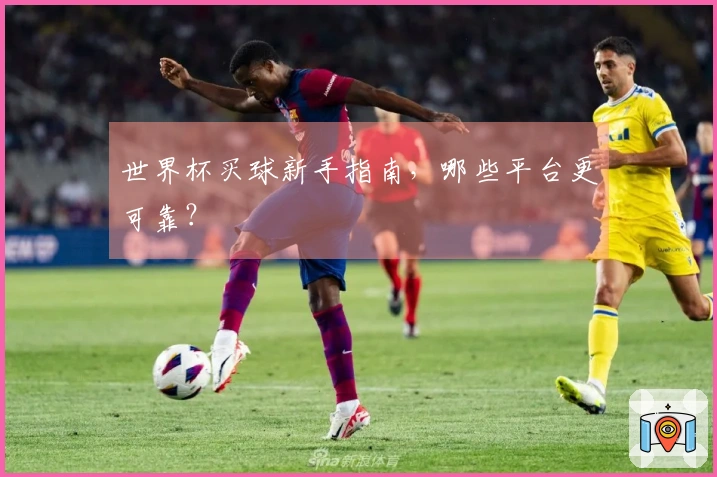 世界杯买球新手指南，哪些平台更可靠？