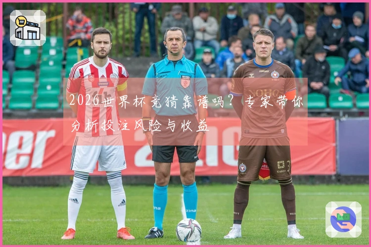 2026世界杯竞猜靠谱吗？专家带你分析投注风险与收益