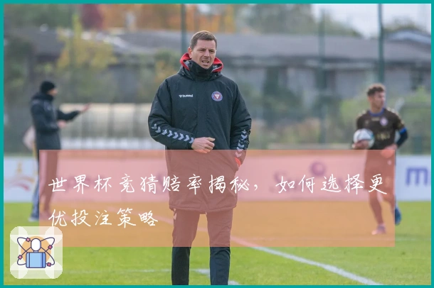 世界杯竞猜赔率揭秘，如何选择更优投注策略