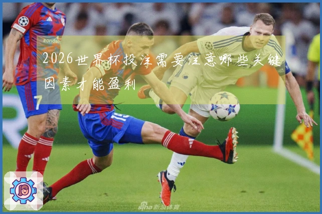 2026世界杯投注需要注意哪些关键因素才能盈利