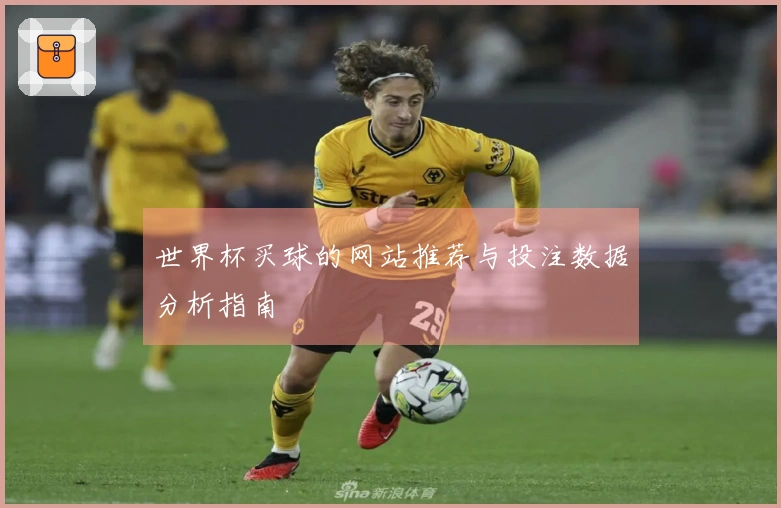 世界杯买球的网站推荐与投注数据分析指南